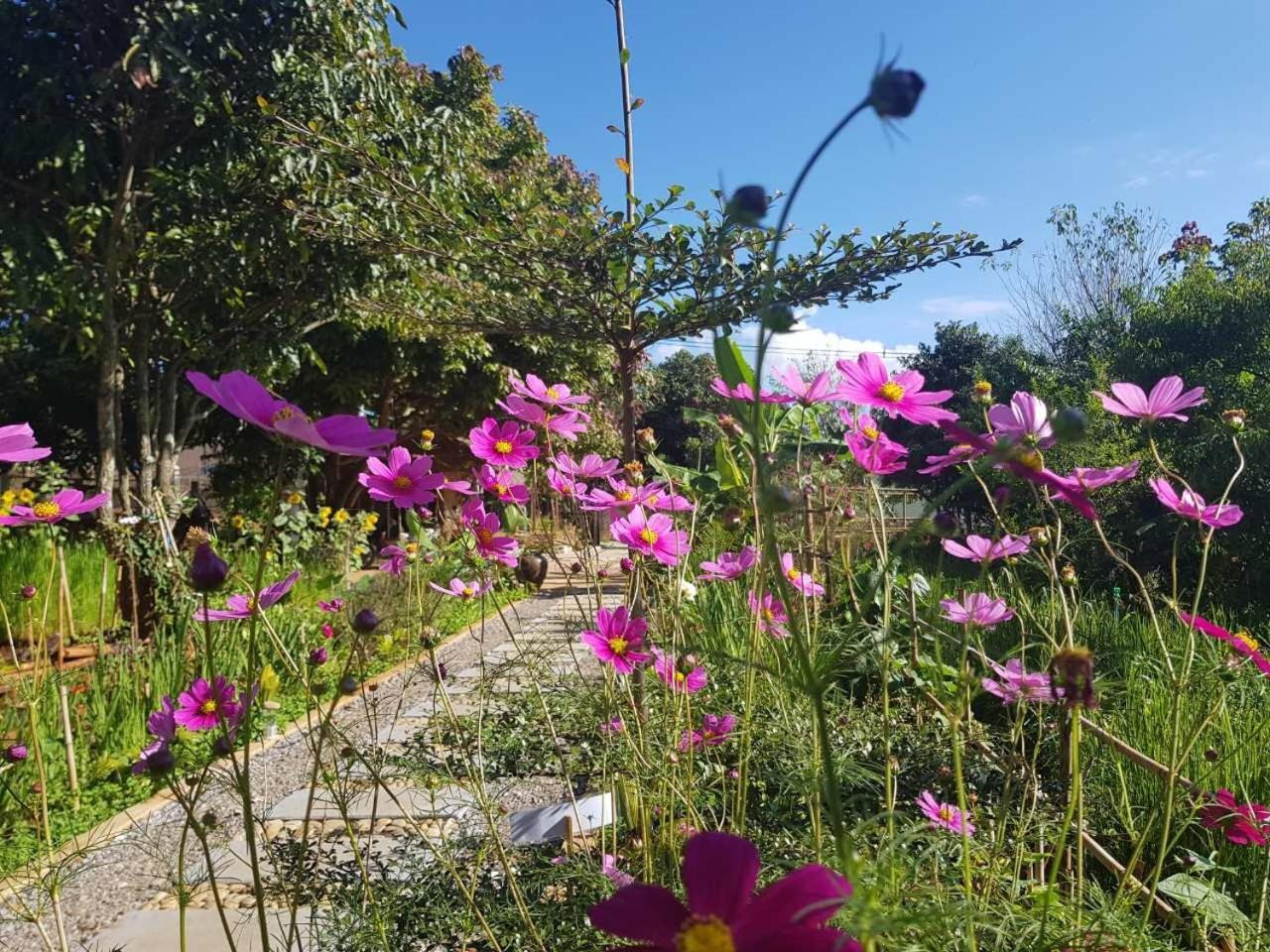 Cottage House Pindaya Εξωτερικό φωτογραφία